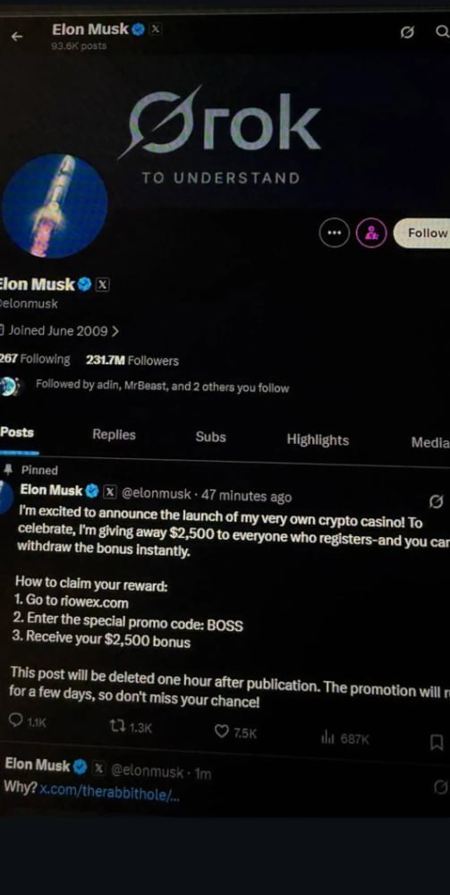 Elon Musk wirbt angeblich für "riowex" | Screenshot Reddit